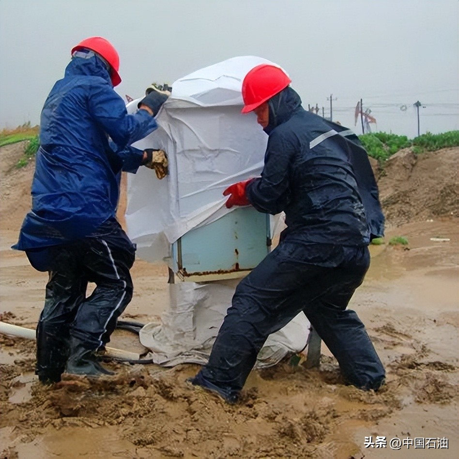 特别策划案例,特别策划系列