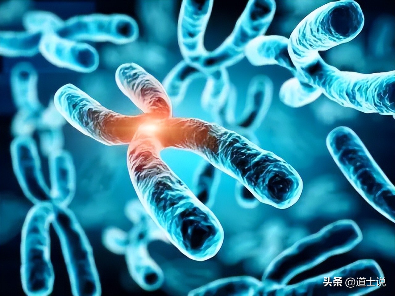 遗传的基因有多可怕,可怕的遗传基因有哪些