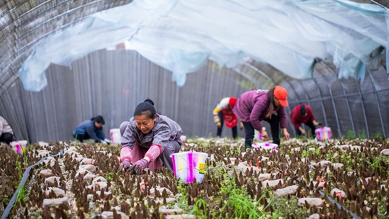 璧勬椇,璧勬椇鍏徃