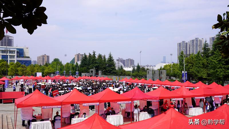 多措并举深耕人才培养沃土,多措并举打造人才发展新高地