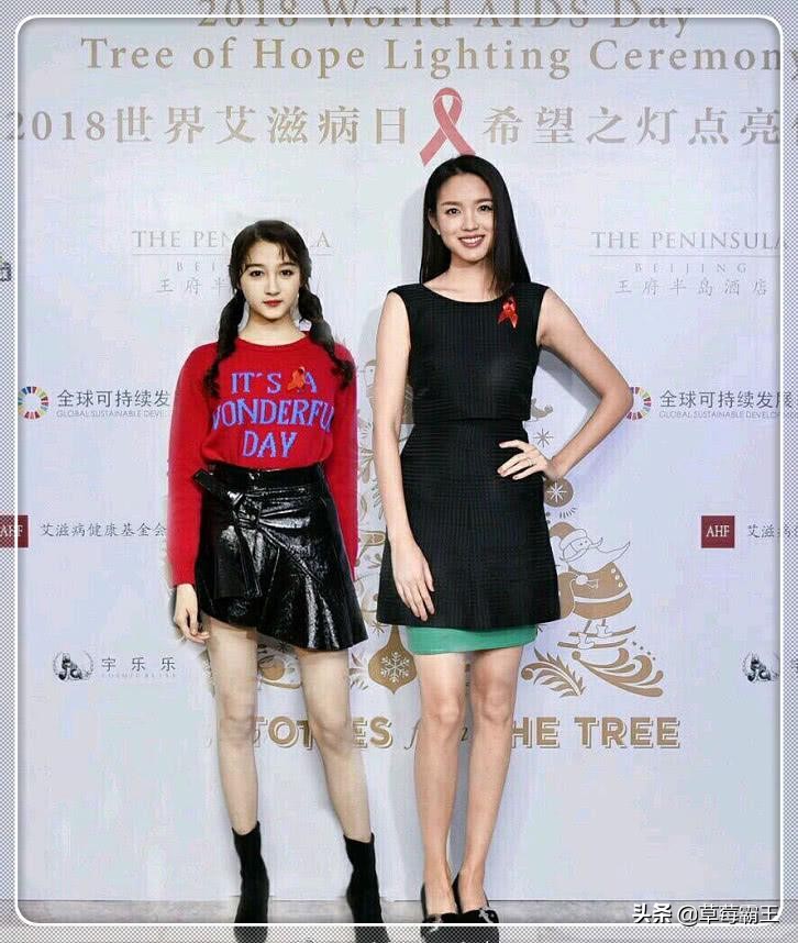 李嘉欣关之琳陈红林青霞最近合影,林青霞关之琳和陈红哪个漂亮