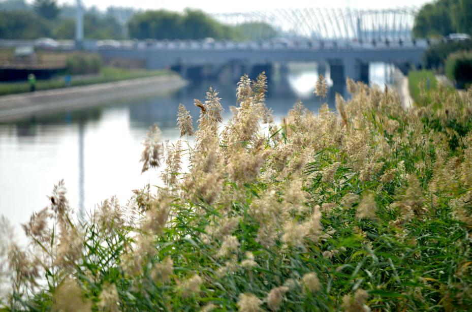 许昌人周末游玩,许昌人去哪景区免门票