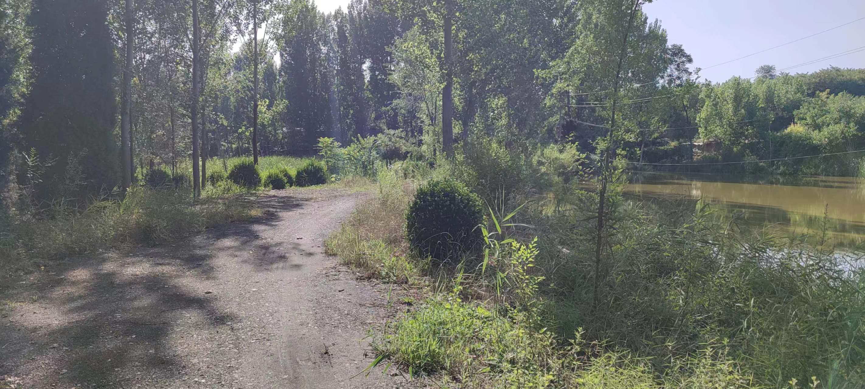 古中国考出彭蠡泽｜张笔魁