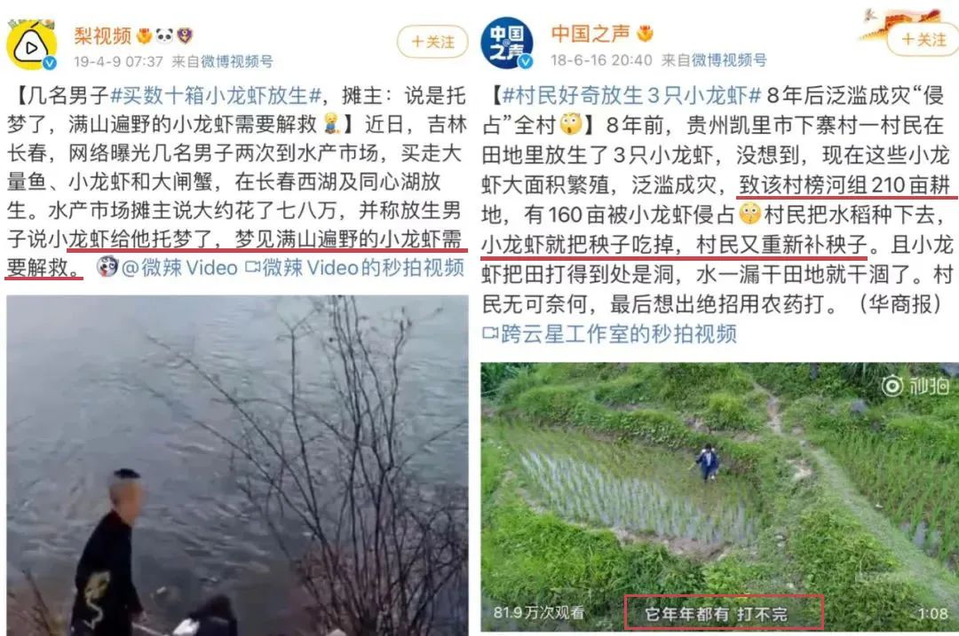 那些胡乱放生的人,那些放生的人都怎么想的