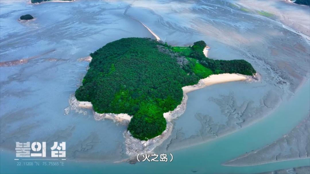 9.6分还在涨，国综又双叒输给韩国了