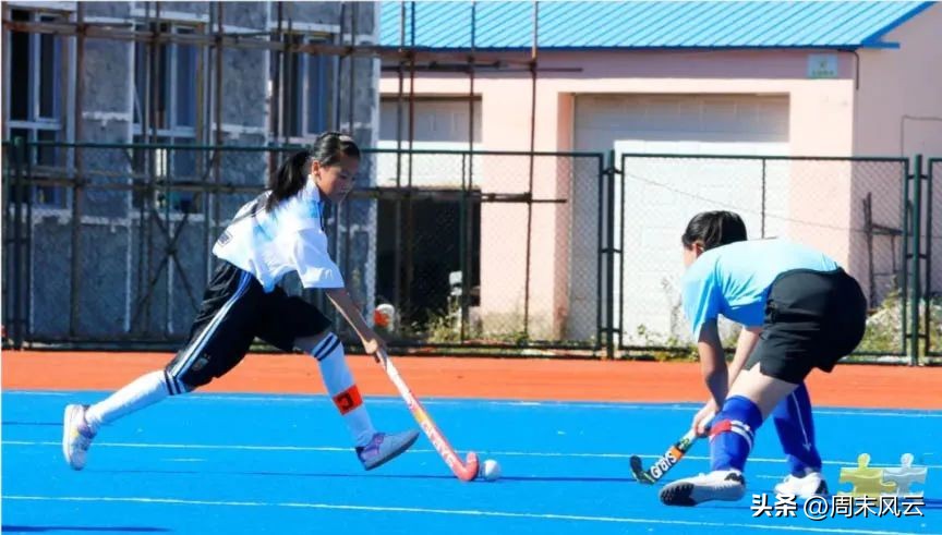 体育小贴士丨一起来了解曲棍球运动的技术与规则