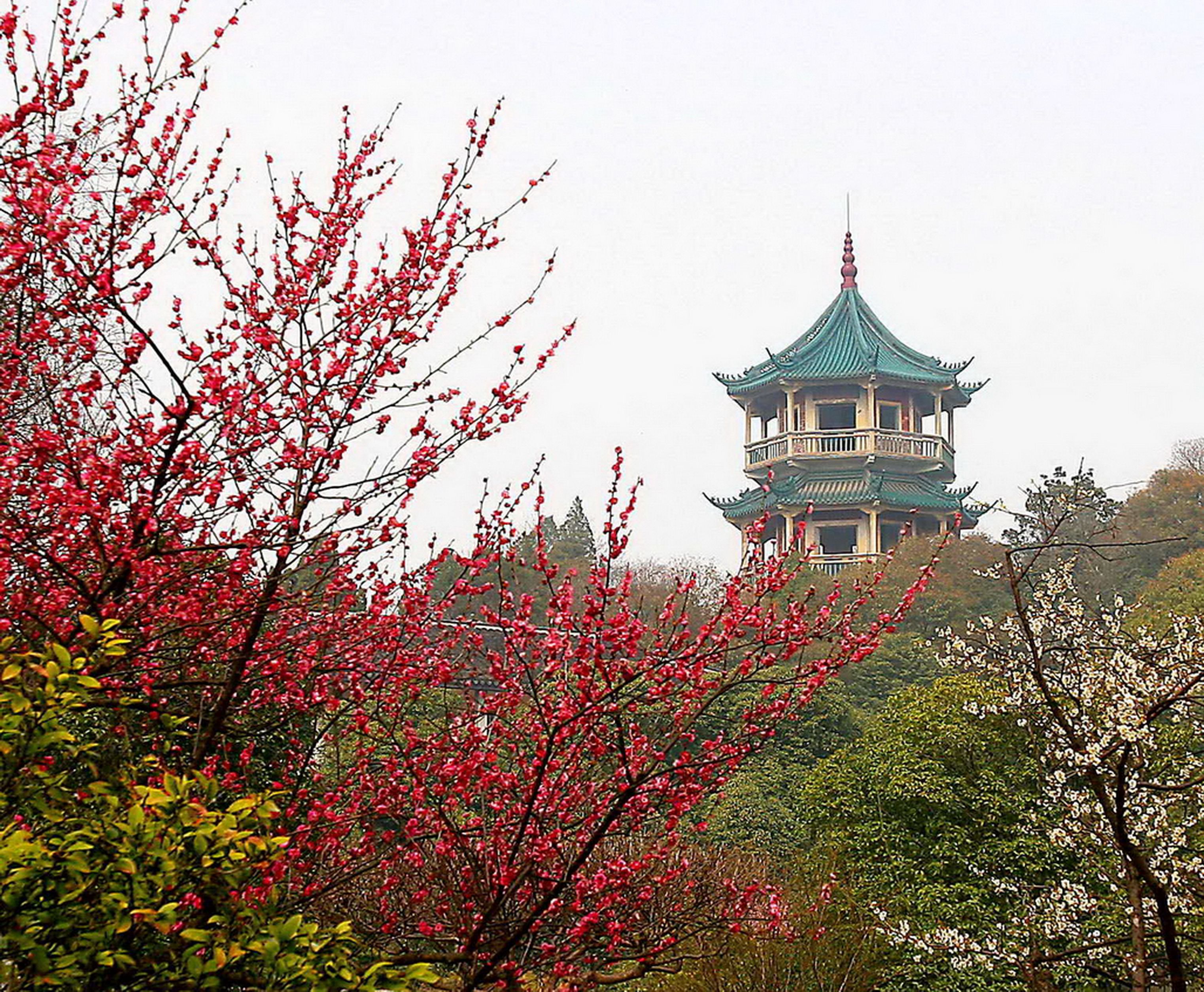 无锡荣德生沈家桥,无锡荣德生