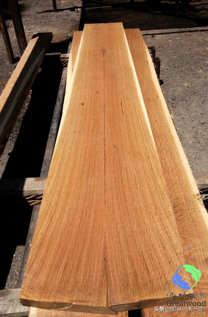 欧洲贵妇出轨被发现,欧洲白富美