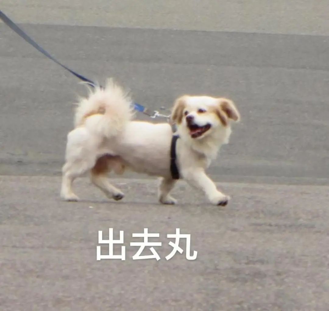 广州各区排名前十名,广州十大名点