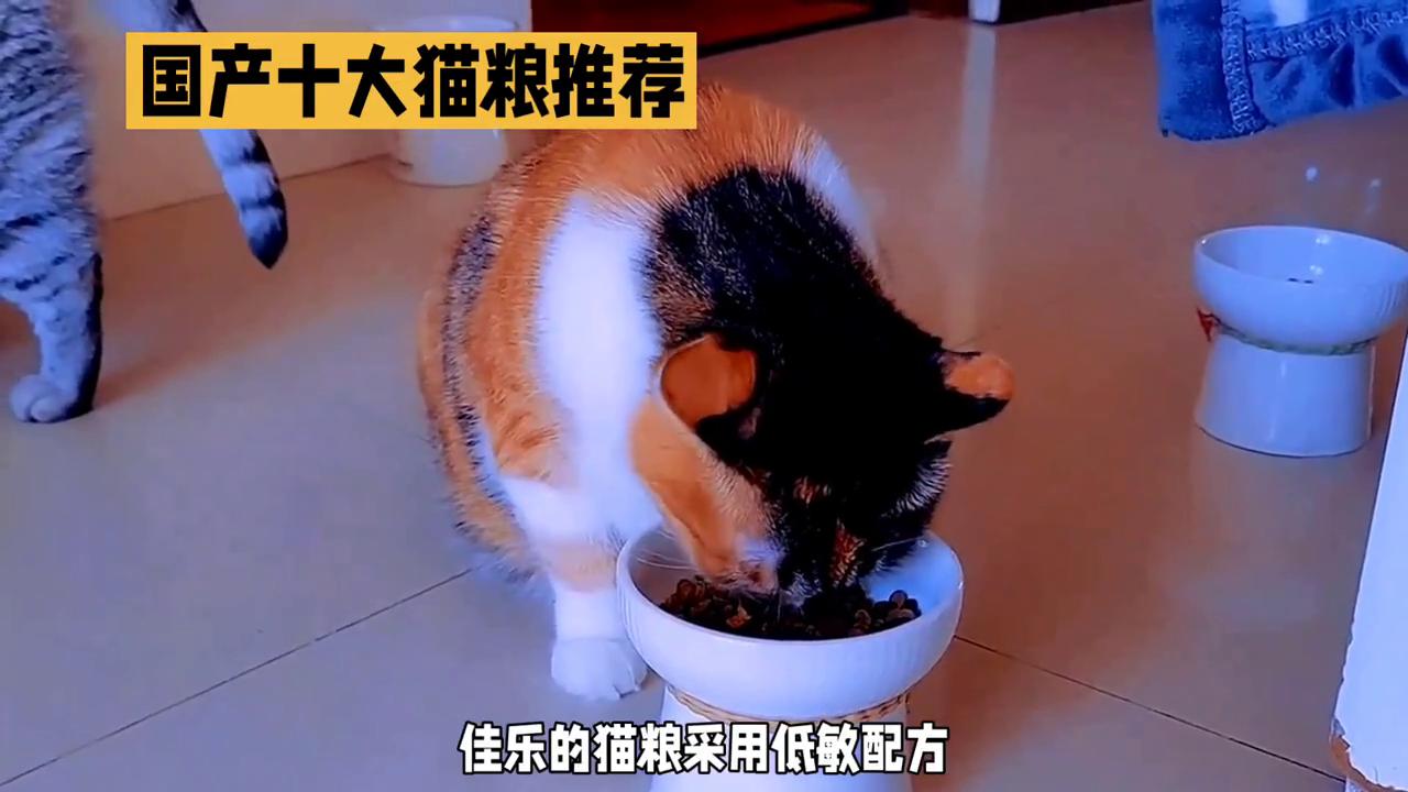 进口猫粮和国产猫粮,国产猫粮好还是进口猫粮好