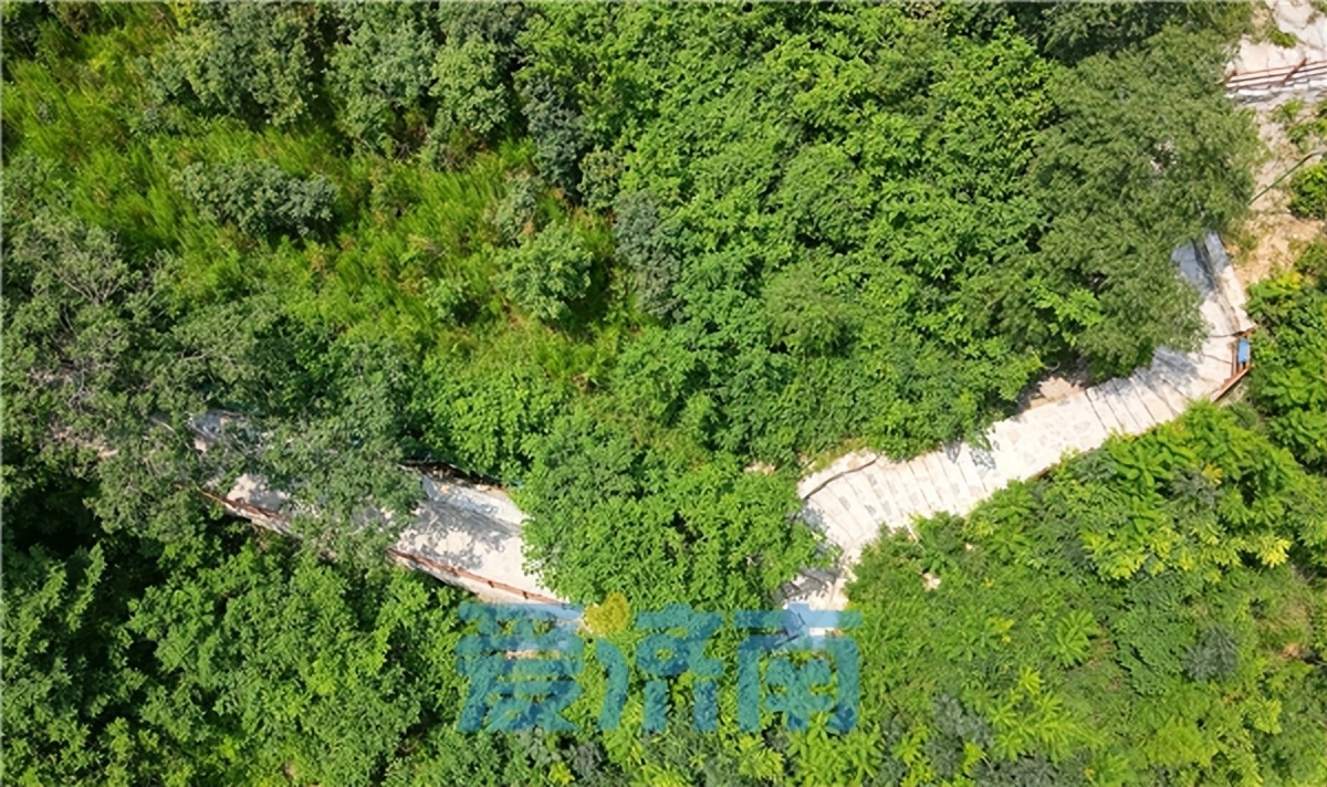 奥体文博绿道,济南奥体文博片区绿道