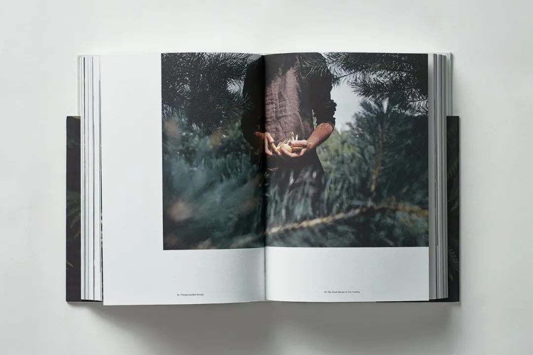 鐢诲唽鍥剧墖鎺掔増鍒涙剰,鏋佺畝鐢诲唽璁捐鎺掔増