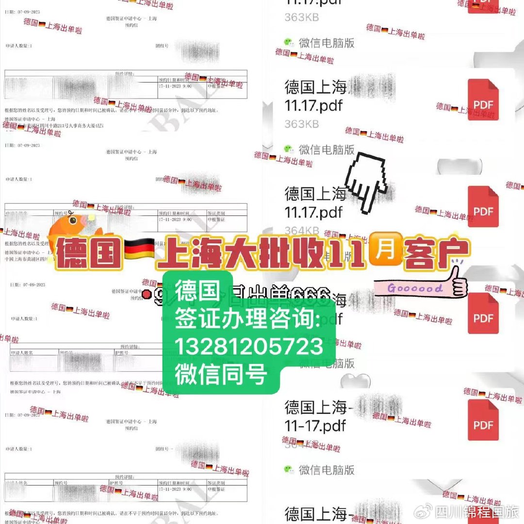 2022德国签证解读,个人如何官网申请德国签证