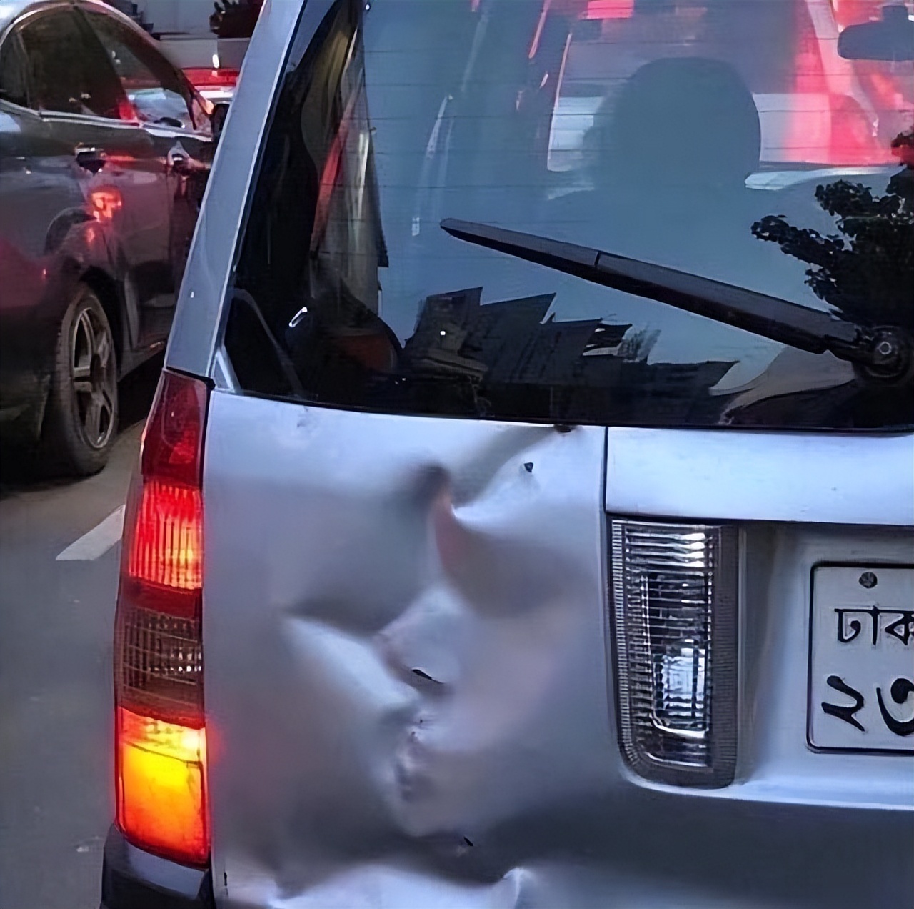 治懒病的药,懒是病吗应该怎么治