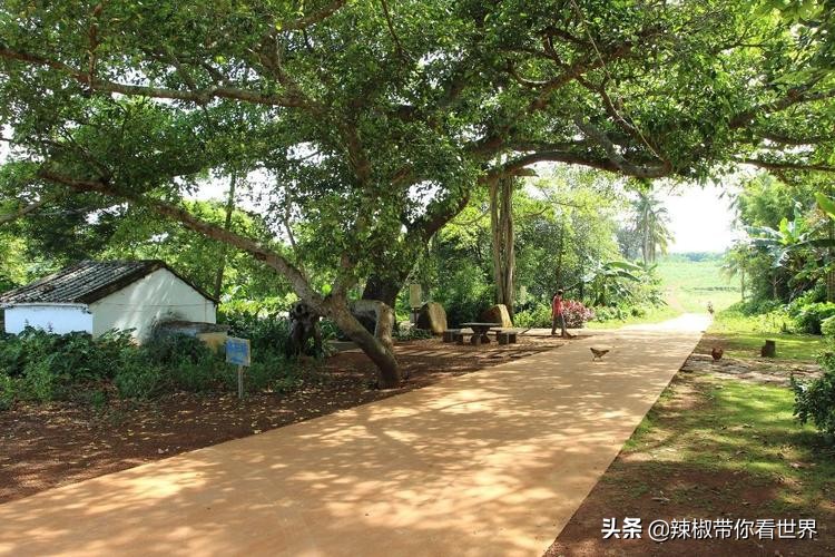 海南岛风景临高,海南临高海边哪里最好