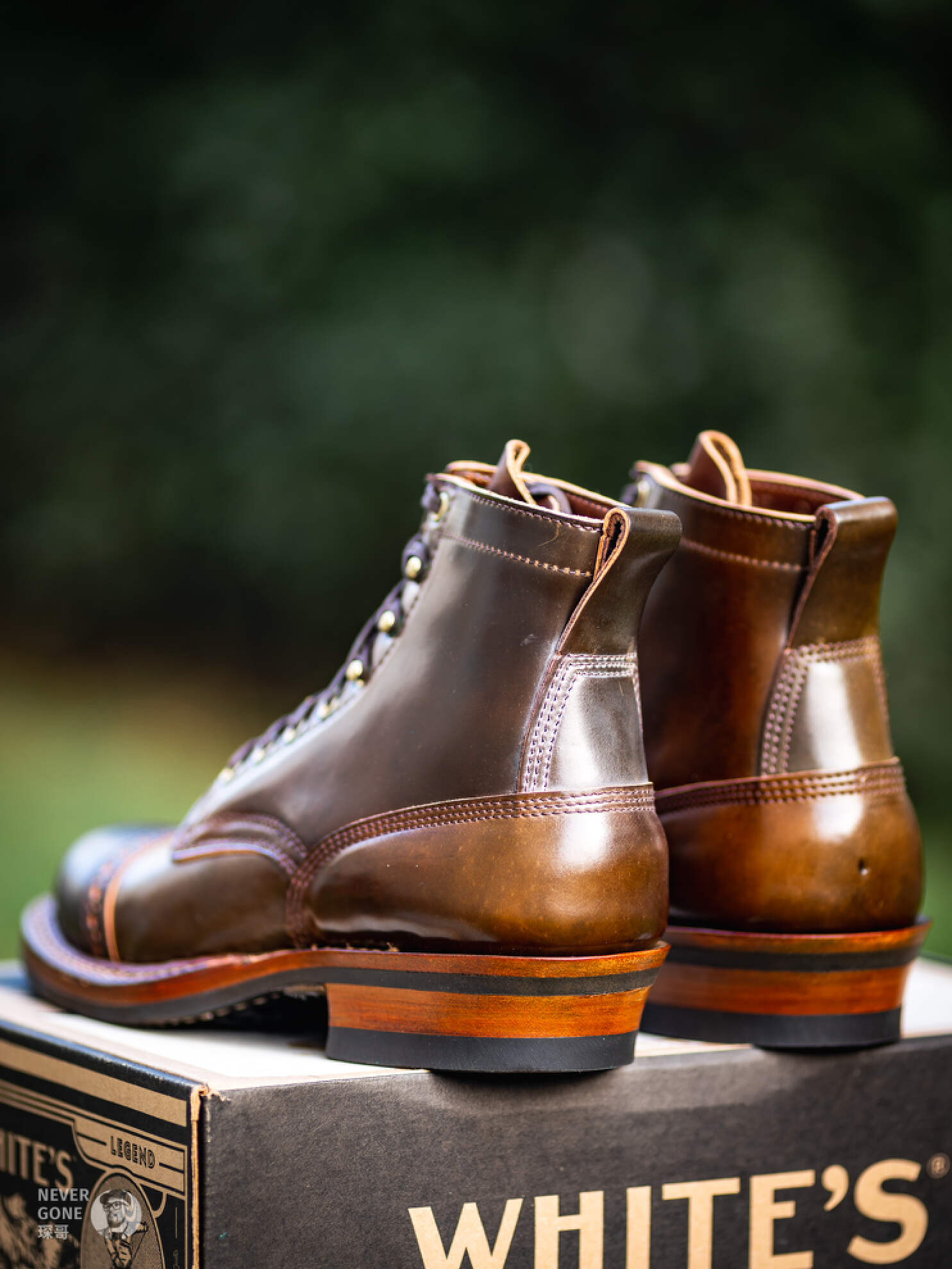 回到最初的梦想视频,回到最初的梦想爵士