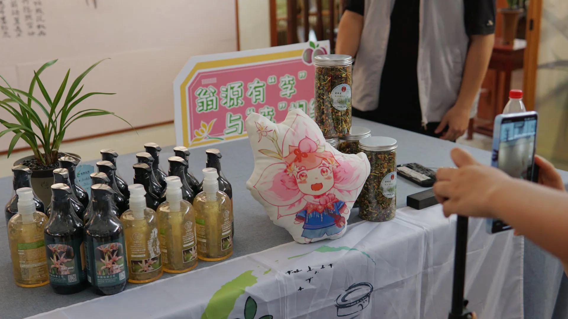 电商助文创：佛山科学技术学院“翁乡桃李”实践队探兰花培育基地