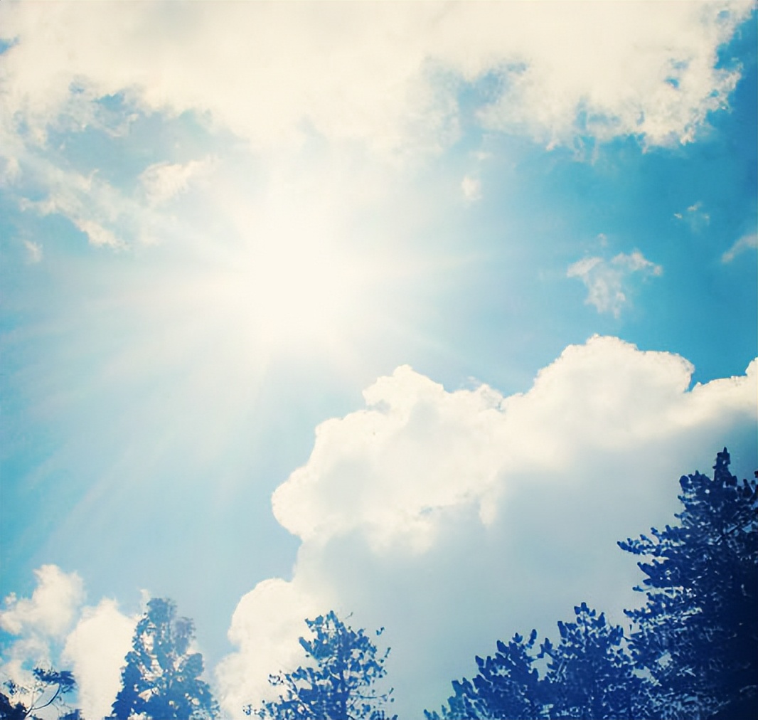 最烧钱的六大专业,十大烧钱专业排名