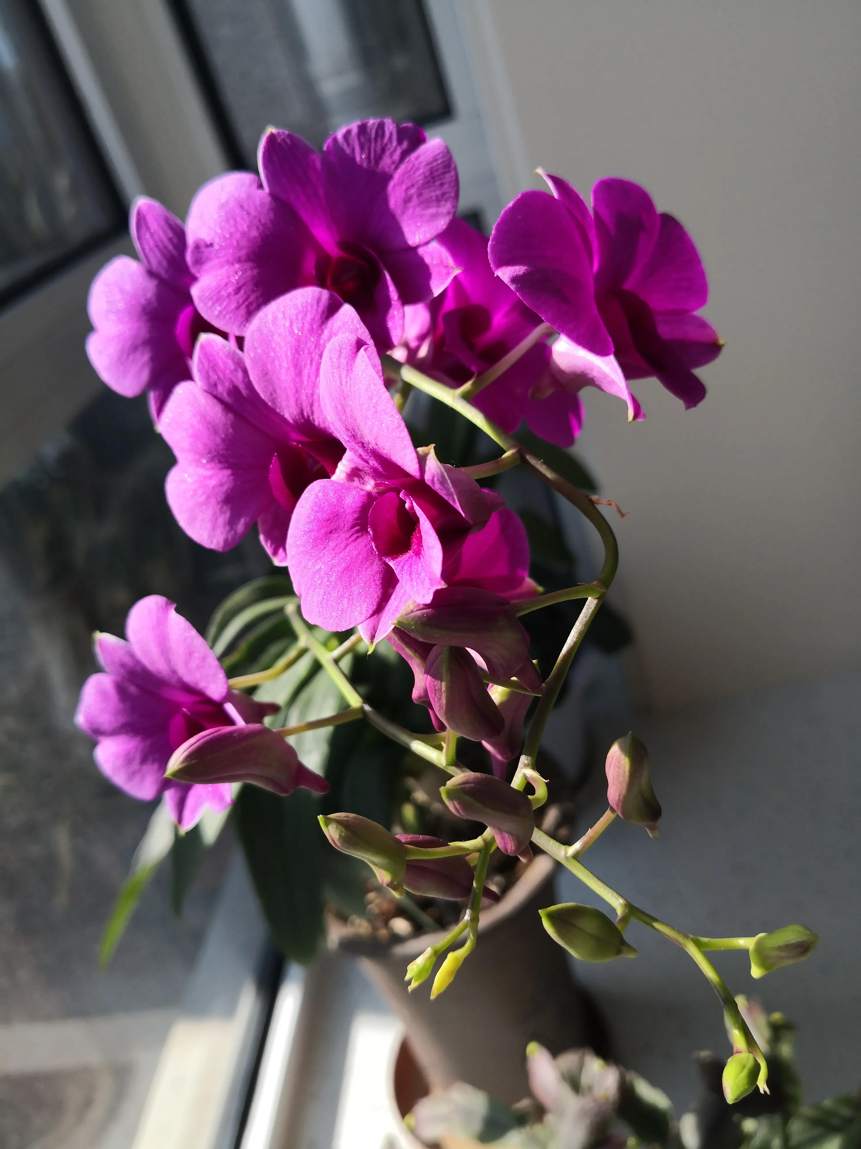 中国足球十大丑闻事件,中国足球88年实战