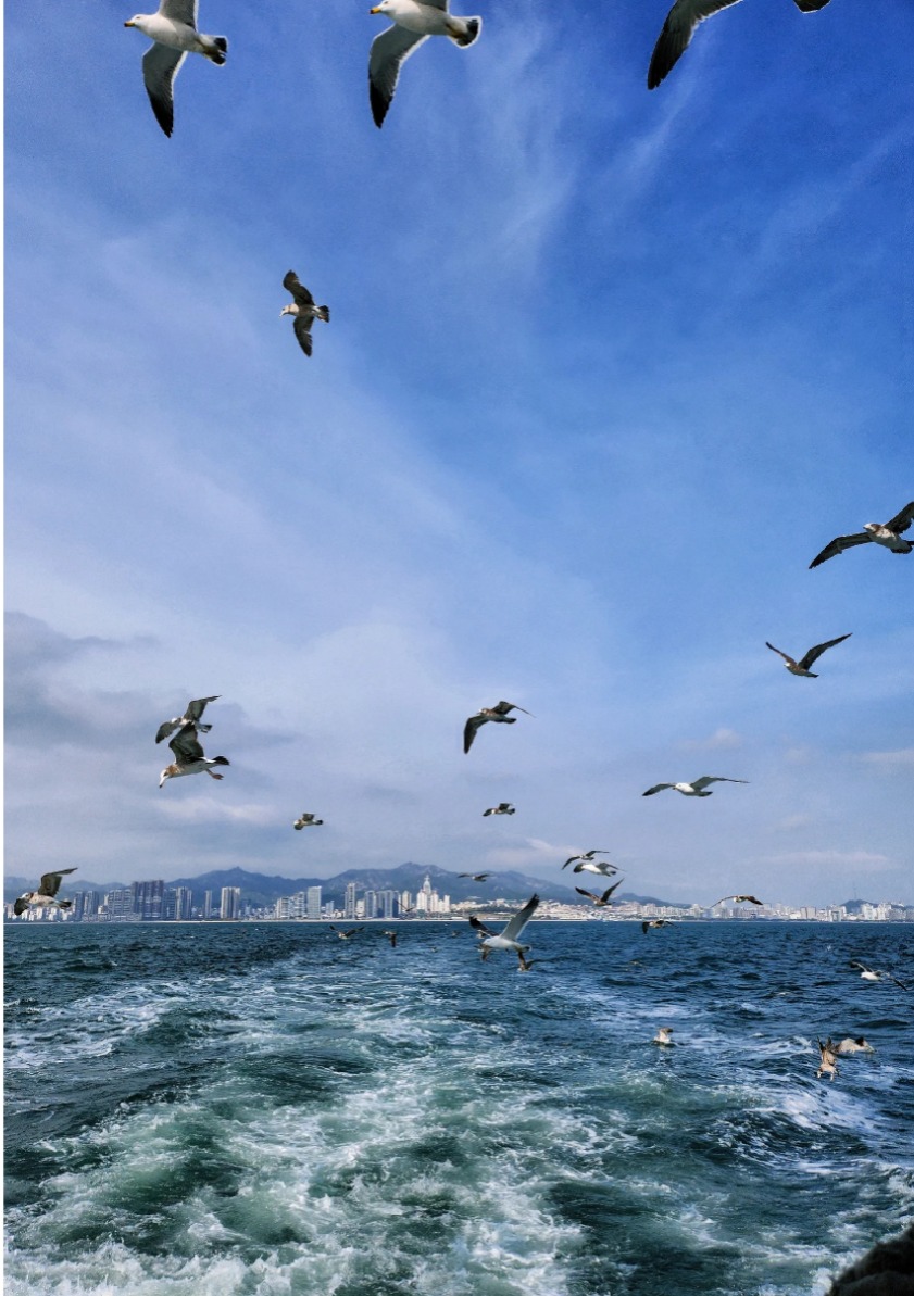 这个夏天总要去趟海边吧原声,夏天去威海市旅游攻略