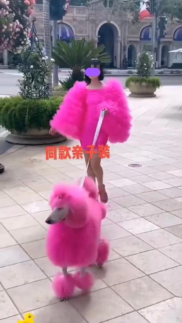 一女孩为宠物花10万元装修宠物屋,爱宠亲子装定制