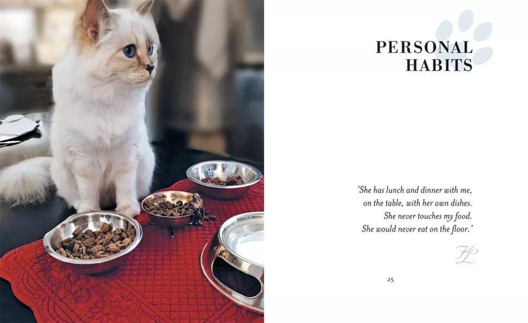 刘雯邓文迪,邓文迪杨紫琼