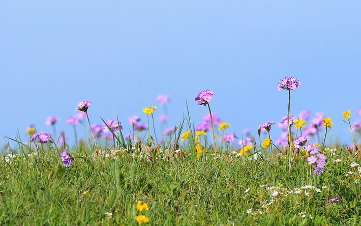 二婚女找头婚男离婚的可能性大吗,女人离婚了是找一婚还是二婚的好