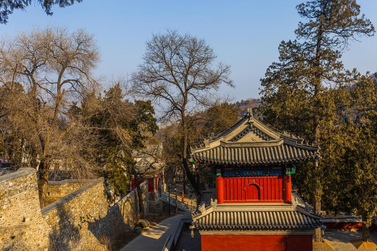 龙门石窟一日游游记800字,龙门石窟游记800字