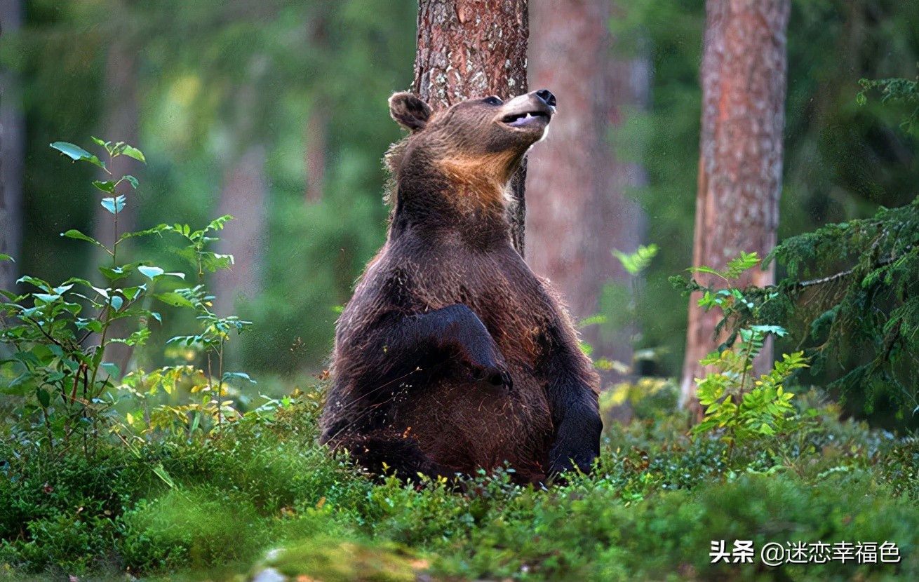 一到冬天就全身瘙痒,一到冬天全身皮肤瘙痒是什么原因