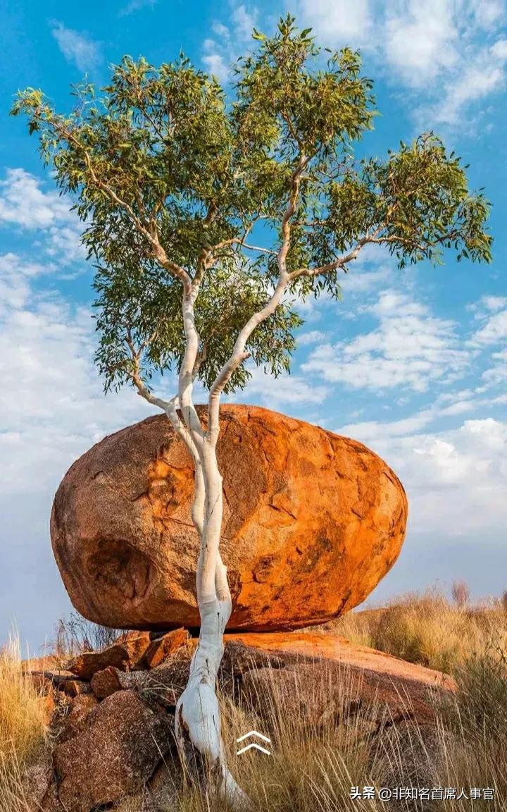 管理咨询公司都是骗子公司吗,管理咨询公司靠谱吗