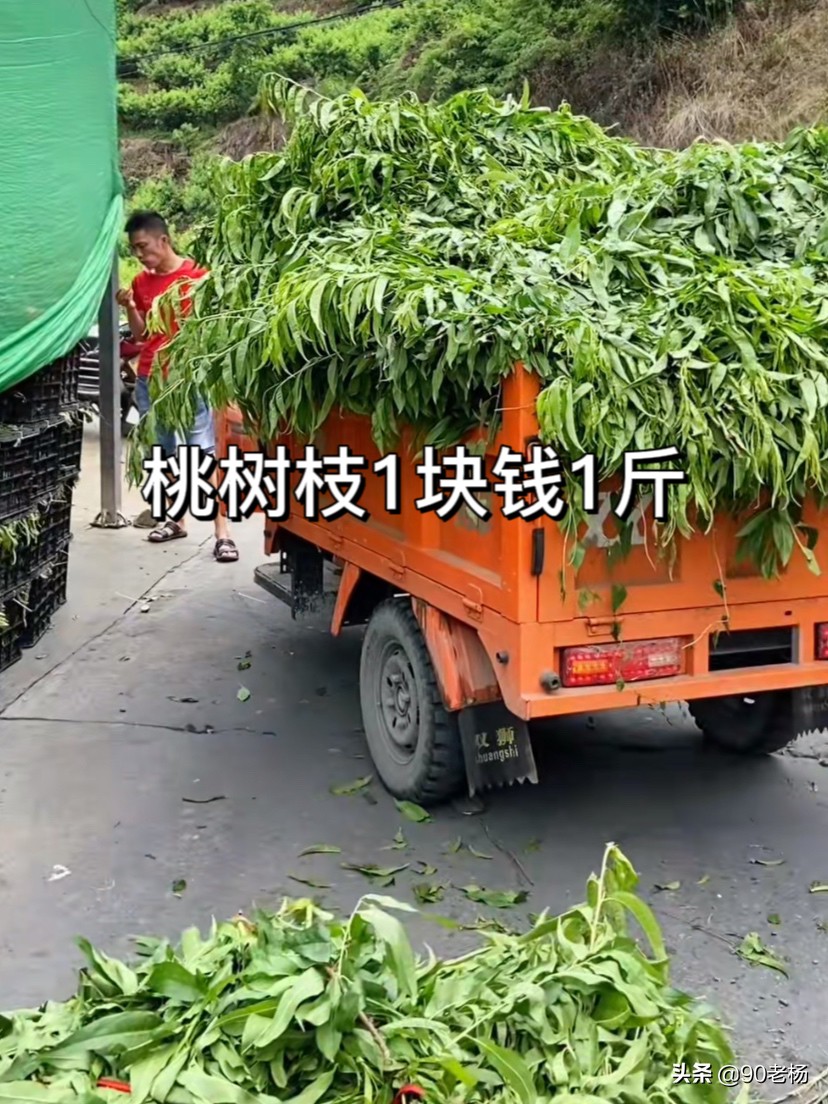 卖桃事件,有人卖桃子卖了30块一斤