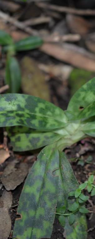 微信刷掌支付落地深圳,飞阅微信