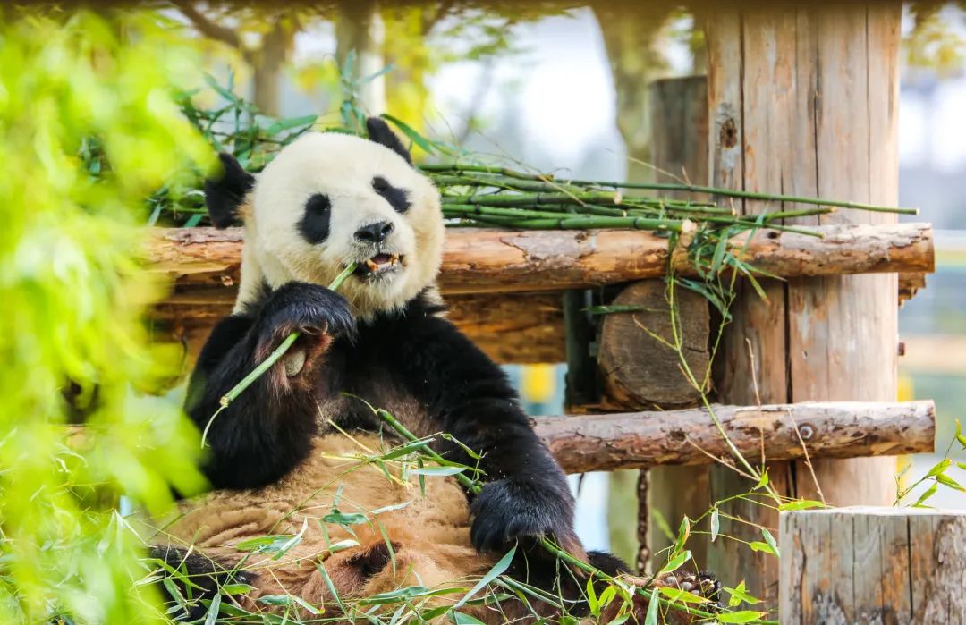 威海2天1夜攻略,威海2天一夜旅游攻略