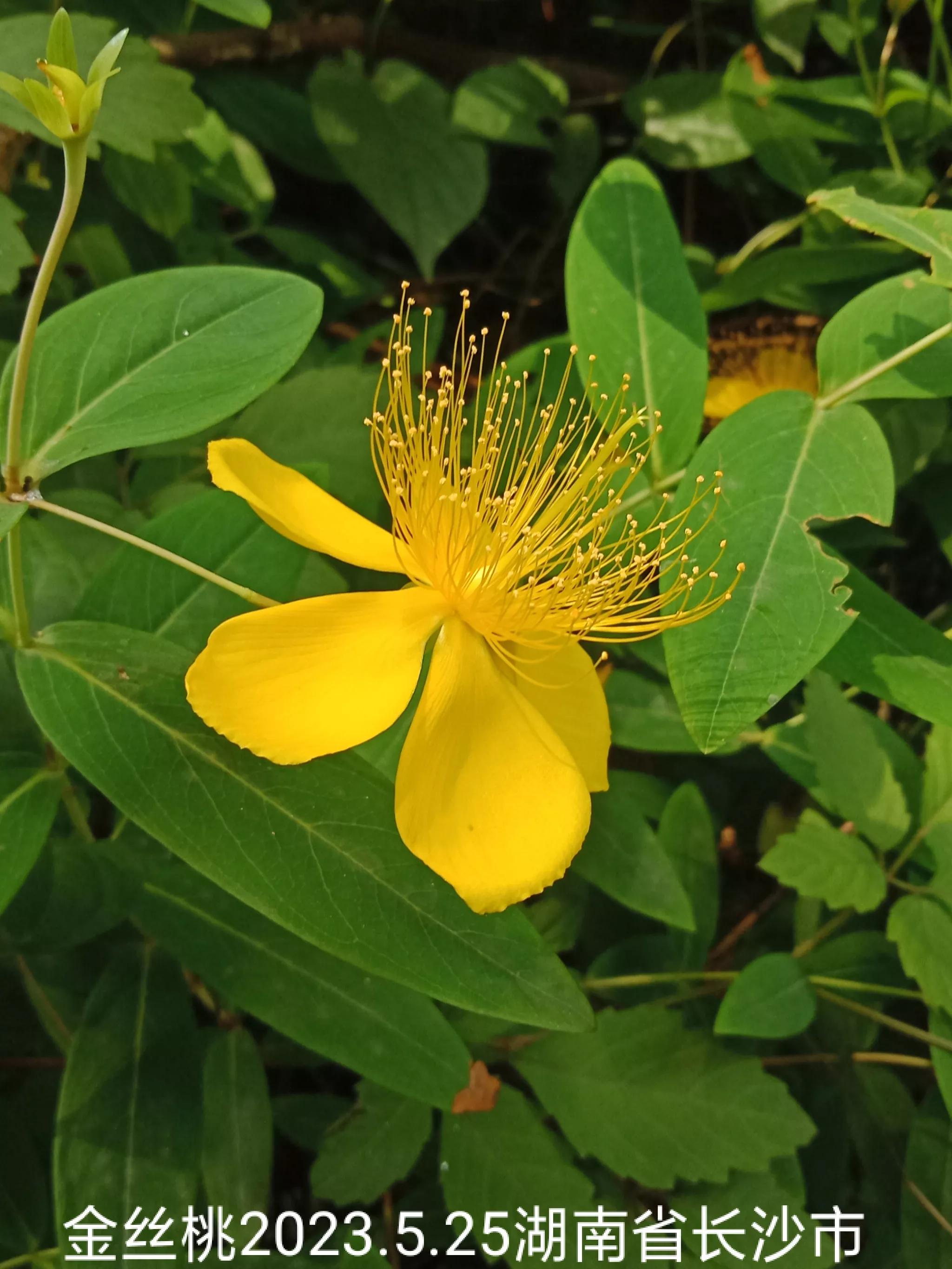 微信群没有保存下来怎么找回来,怎么找回没保存的微信群