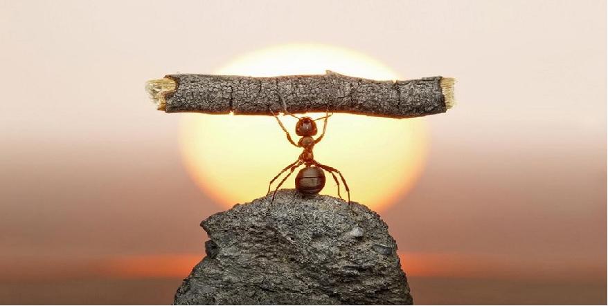 临沂兰华物流搬迁,临沂河东华阳物流搬迁