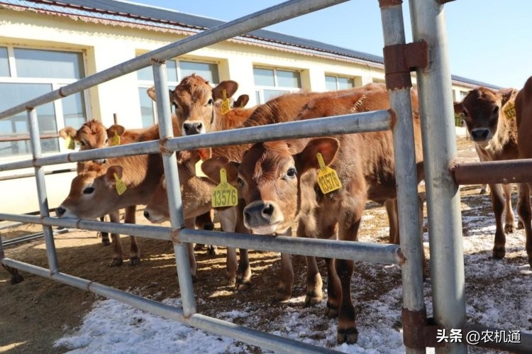 库恩饲料搅拌机,库恩农业机械青贮搅拌机