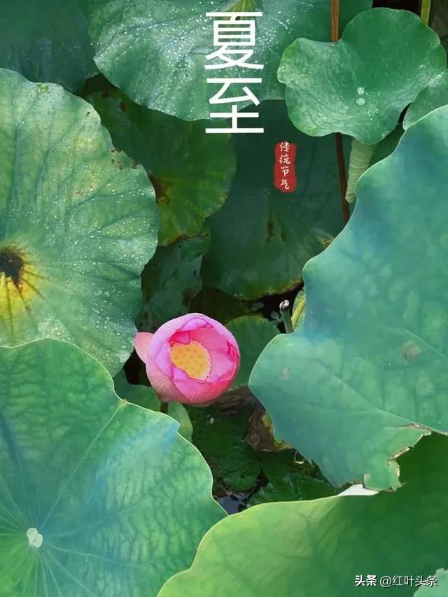 《卦里藏诗》之三.姜保坤