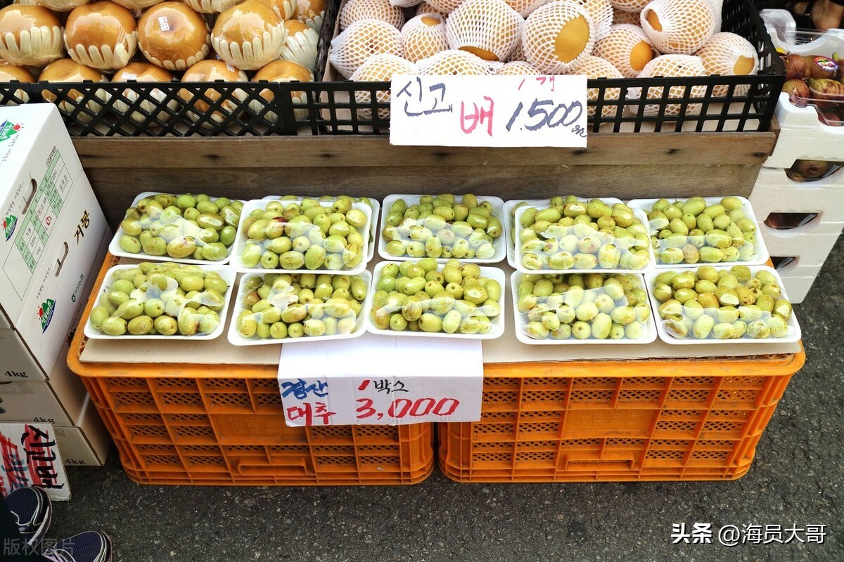 韩国女海员真实生活,韩国女海员在船上的真实生活