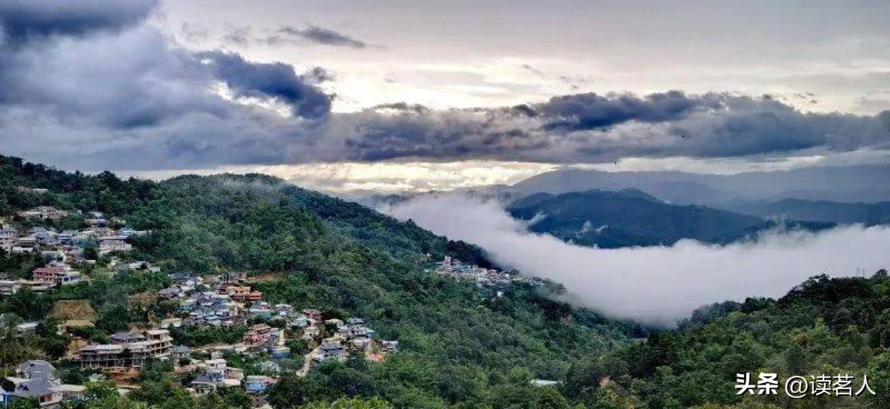 寻味云南普洱,寻味普洱生茶