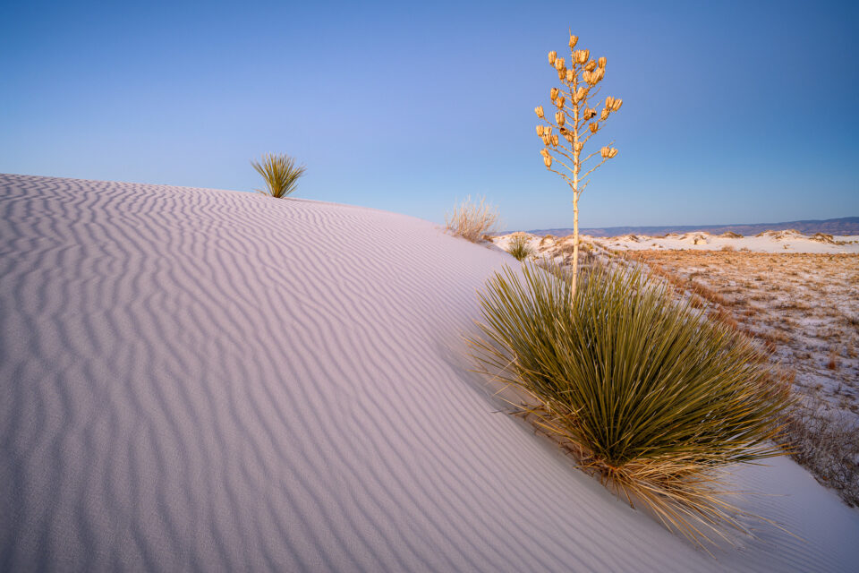 尼康z系列图片大全,尼康z镜头2023