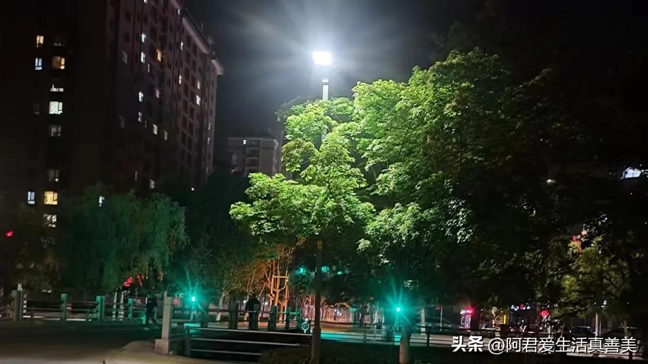 相处7年的嫂子找到心仪的那份热爱，竟然要弃我而去，泪奔！