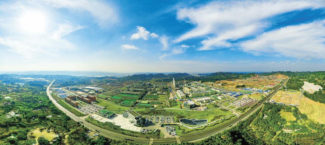 深度｜通威四十不惑：从胜利走向胜利