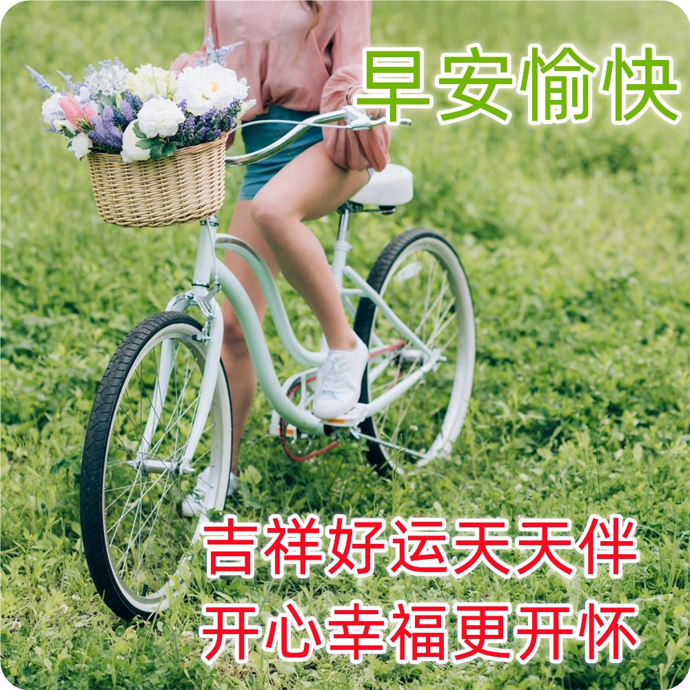 最新漂亮早上好问候图片鲜花带字,2023早上好问候语