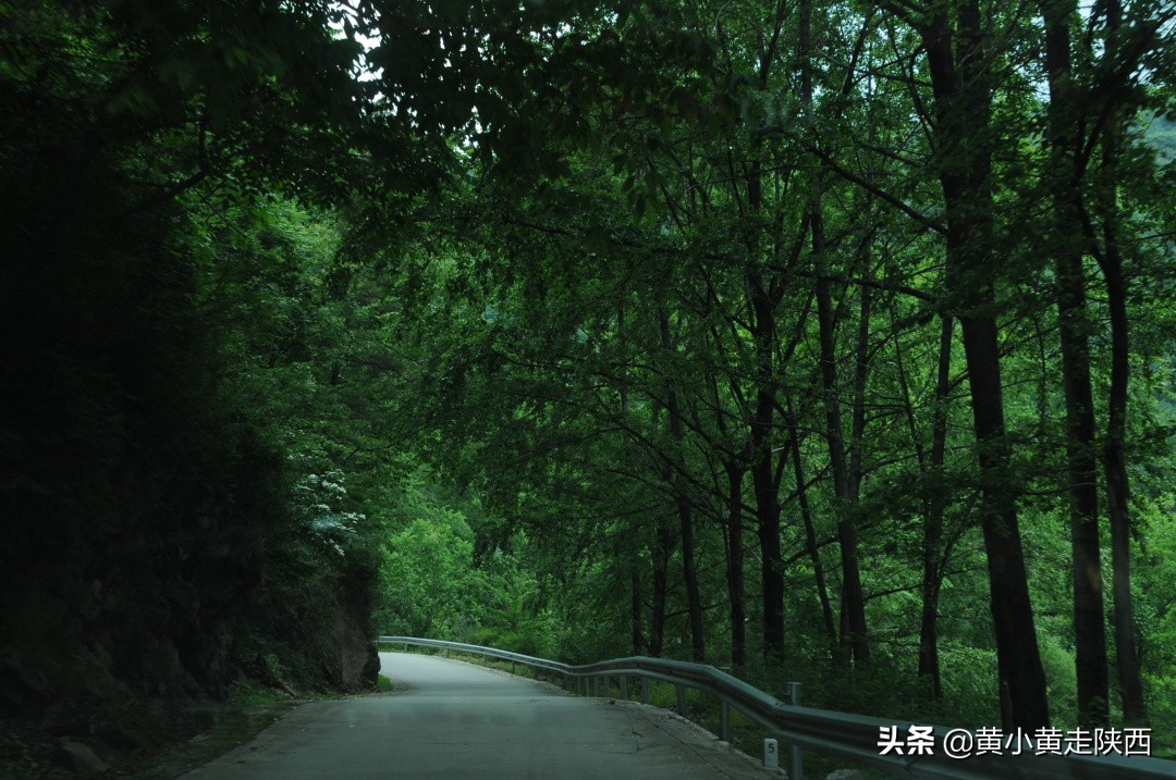 西安秦岭沣峪口夏季避暑去处,西安秦岭沣峪口附近哪里凉快