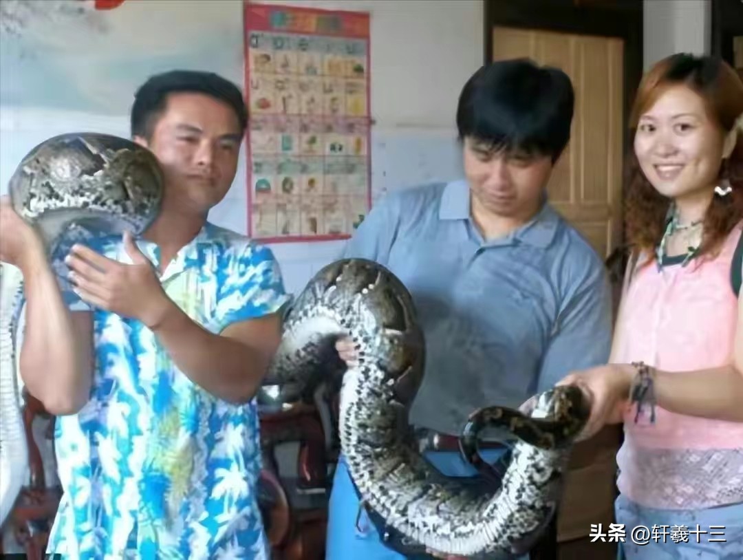 2001年，“报恩”蟒蛇缠住行窃的小偷，主人对蛇喊到阿财你回来了