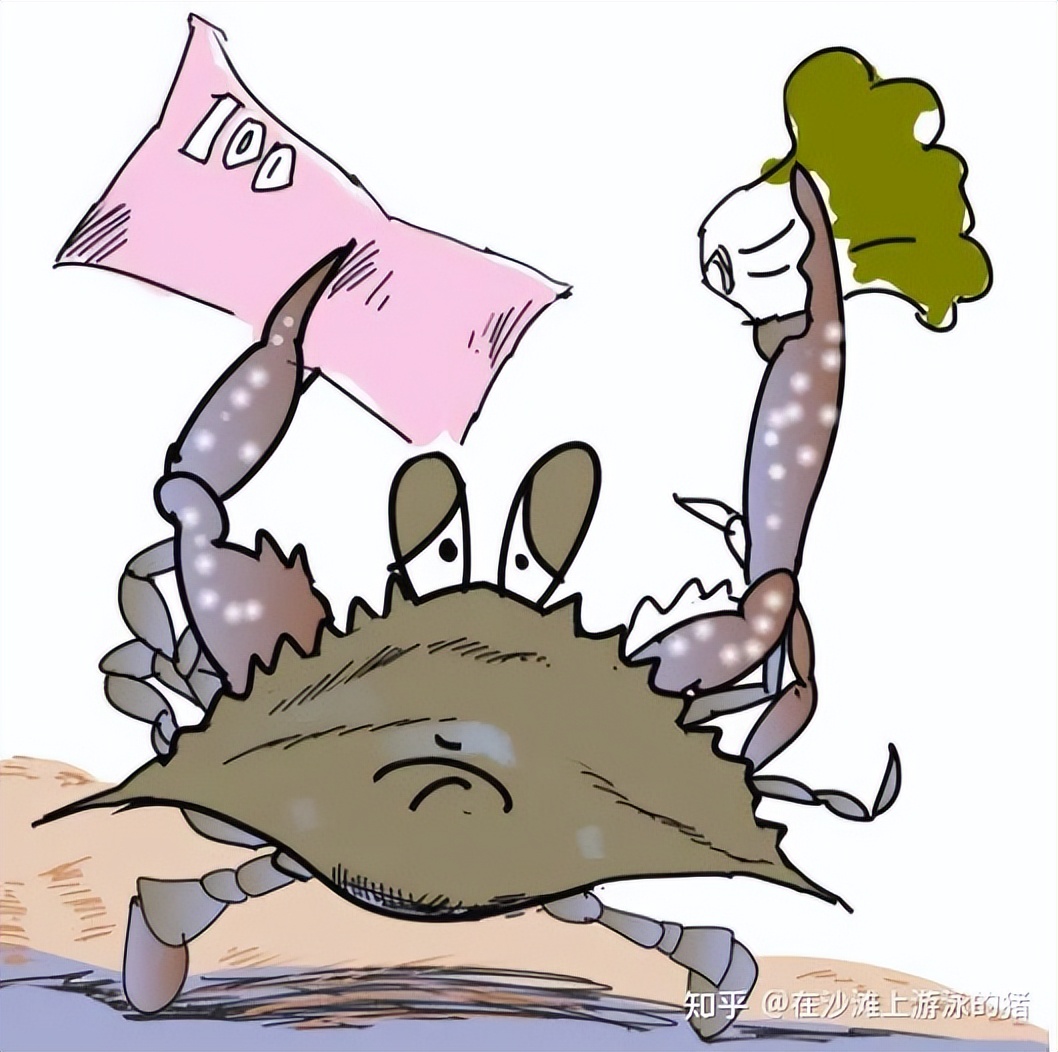 舟山活鲜梭子蟹,舟山鲜活梭子蟹