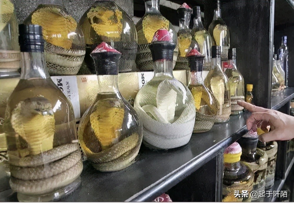 今天的越南现状 (越南真实现状如何)