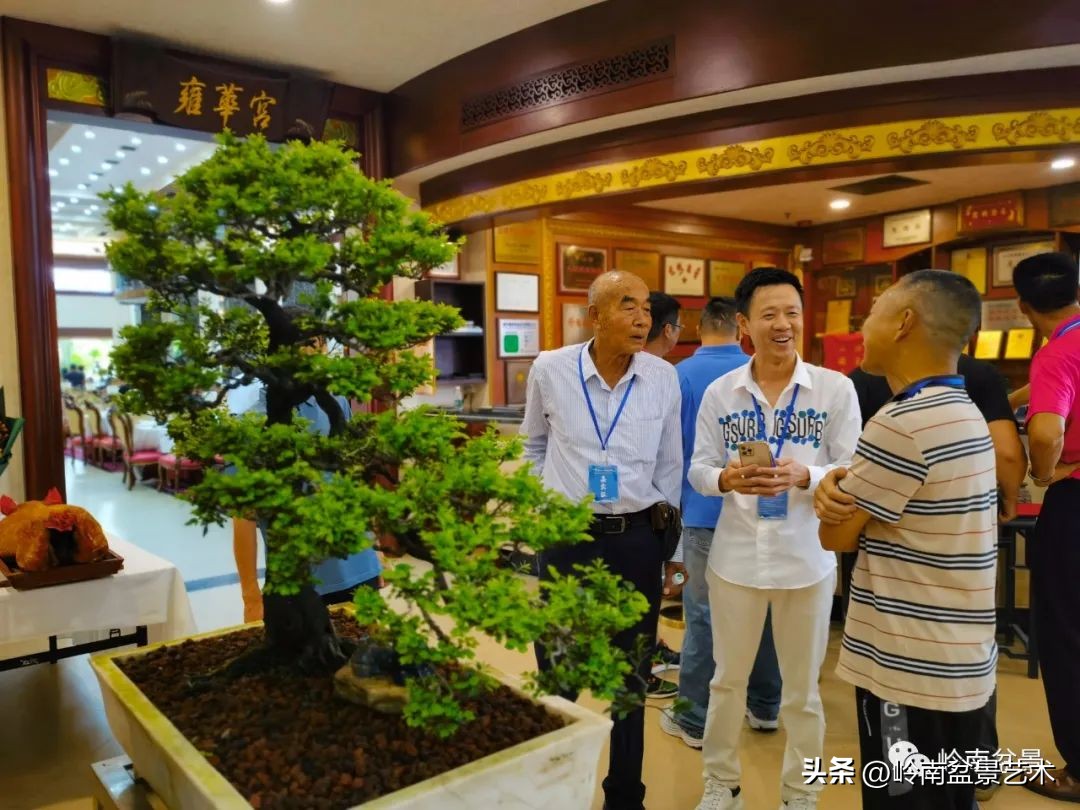 “不忘初心，开拓进取”——中山盆景协会第八届会员活动圆满成功