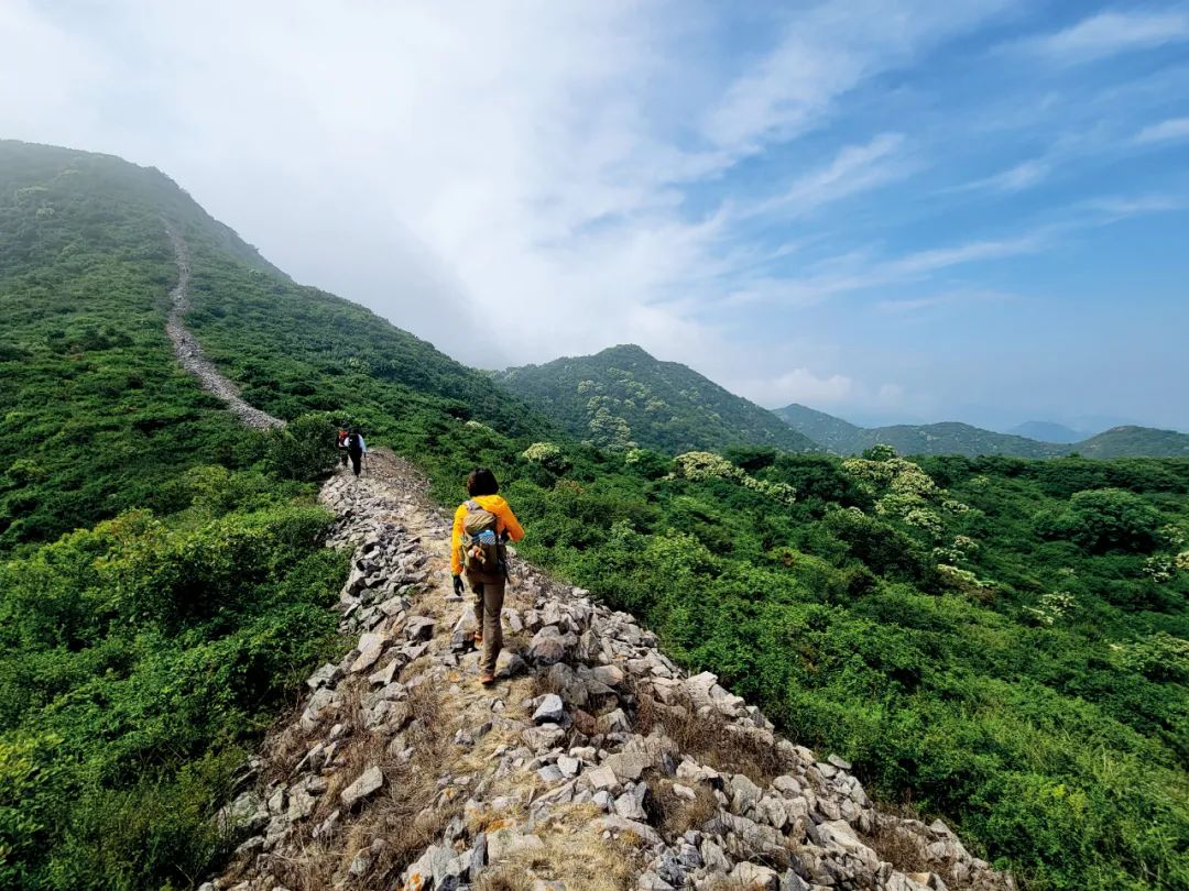 露营野餐不过夜,露营不过夜就是郊游