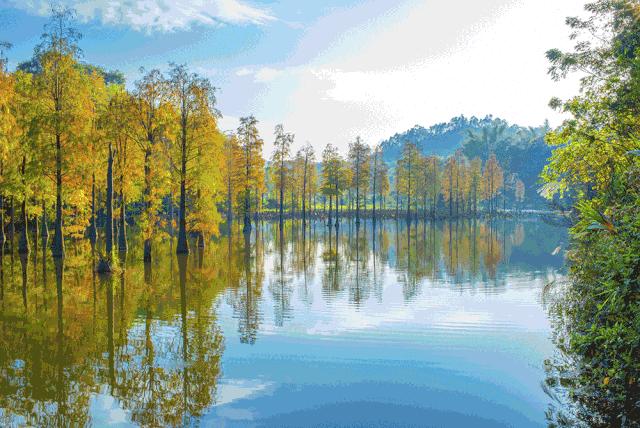 惠州度假温泉酒店推荐,惠州东南亚风格酒店